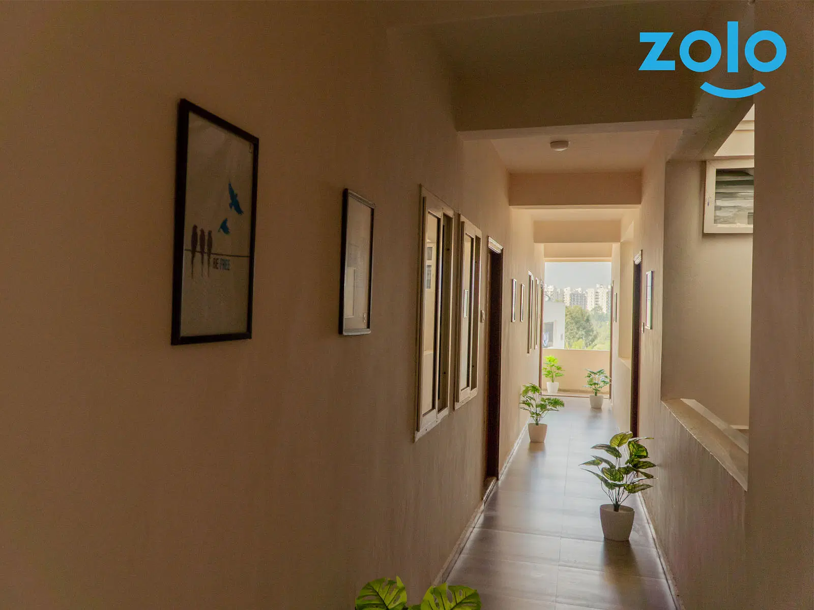 Zolo Belair A